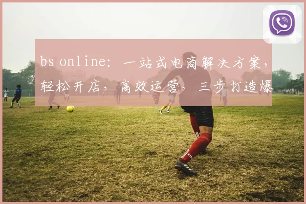 bs online：一站式电商解决方案，轻松开店，高效运营，三步打造爆款