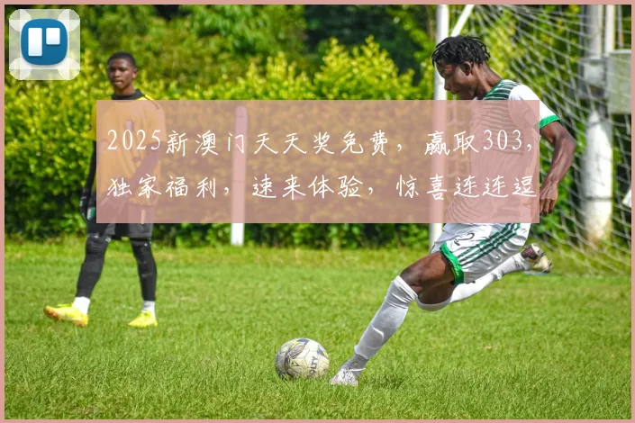 2025新澳门天天奖免费，赢取303，独家福利，速来体验，惊喜连连逗逗逗